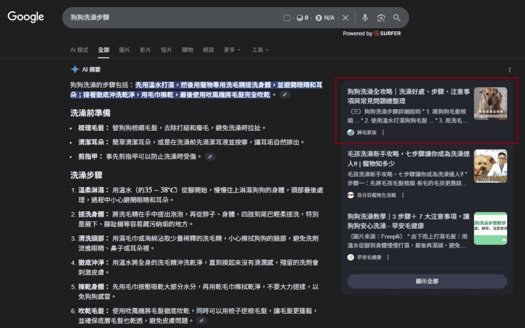 Welly SEO 的 AEO 成功案例